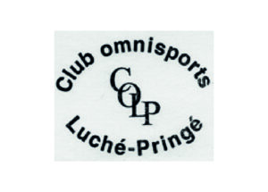 Comite Sarthe Handball Clubs Luche Pringe