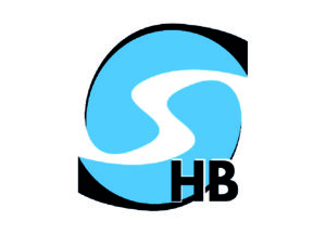 Comite Sarthe Handball Clubs Spay