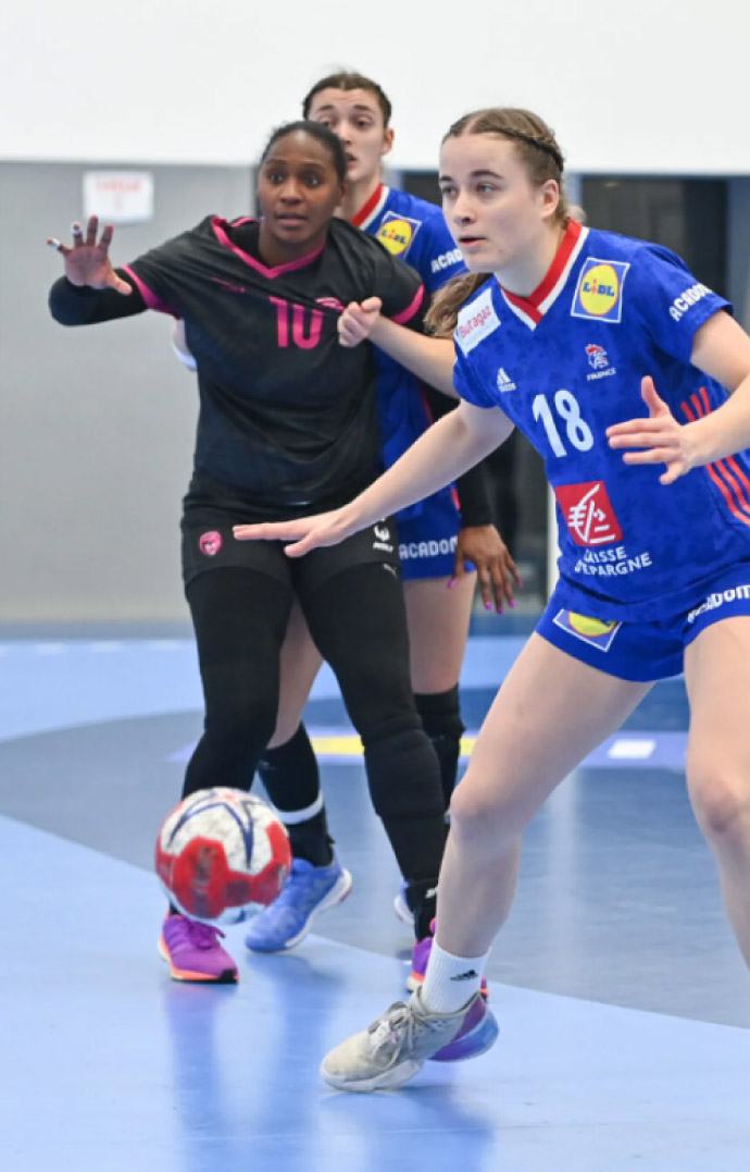 Comite Sarthe Handball Agenda Accueil